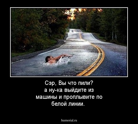 Сэр, Вы что пили? а ну-ка выйдите из машины и проплывите по белой линии.