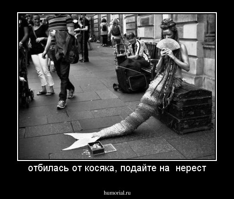 отбилась от косяка, подайте на  нерест