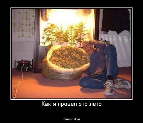 Как я провел это лето
