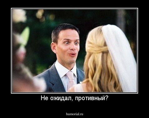 Не ожидал, противный?