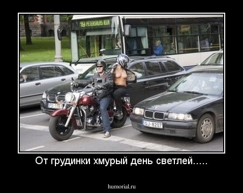 От грудинки хмурый день светлей.....