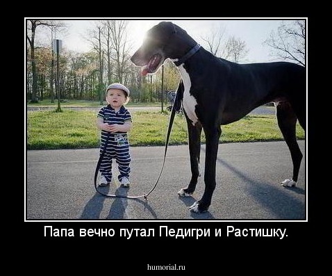 Папа вечно путал Педигри и Растишку.