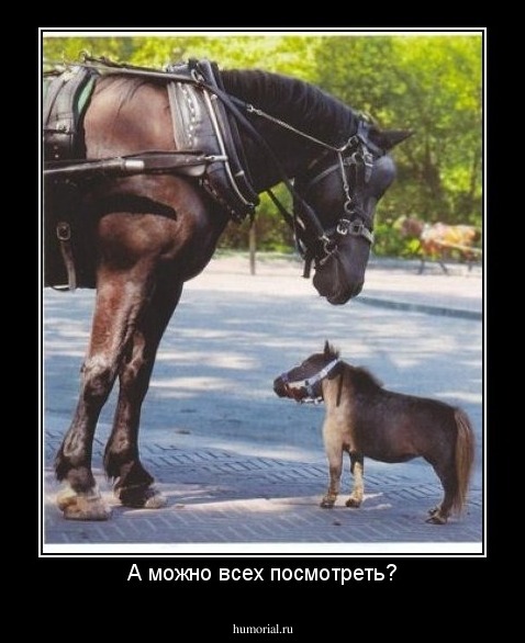 А можно всех посмотреть?