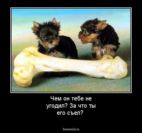 Чем он тебе не угодил? За что ты его съел?