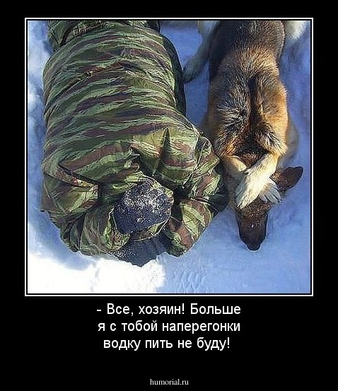 - Все, хозяин! Больше я с тобой наперегонки водку пить не буду!