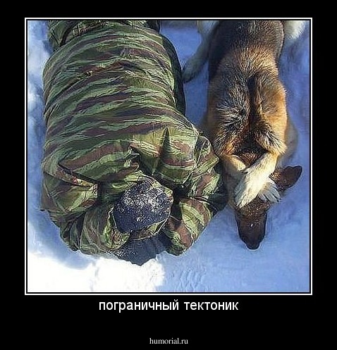 пограничный тектоник