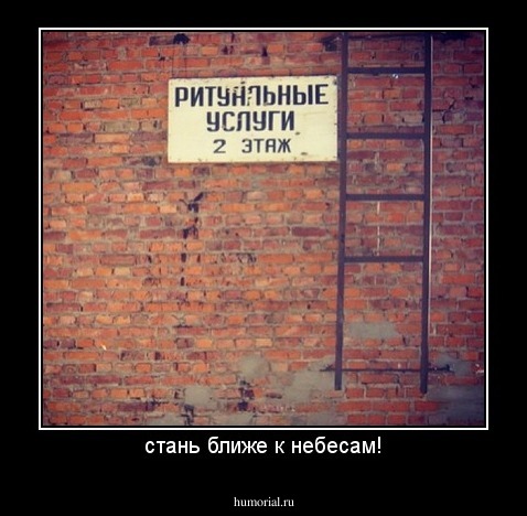 стань ближе к небесам!