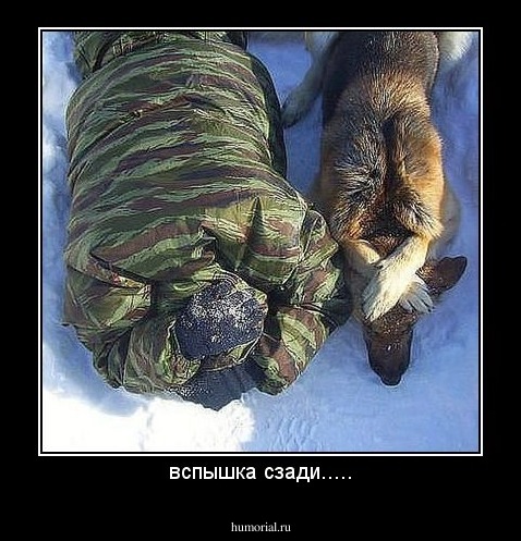 вспышка сзади.....