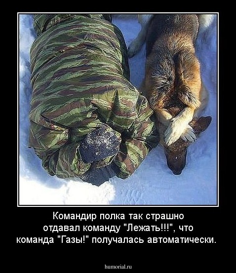 Командир полка так страшно отдавал команду "Лежать!!!", что команда "Газы!" получалась автоматически.