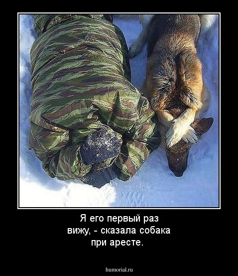 Я его первый раз вижу, -  сказала собака при аресте.