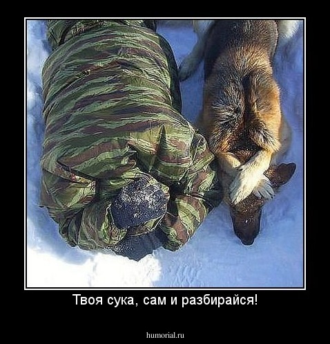 Твоя сука, сам и разбирайся!