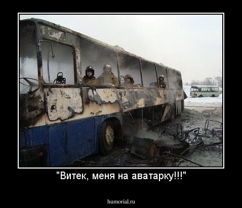 "Витек, меня на аватарку!!!"