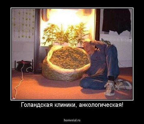 Голандская клиники, анкологическая!