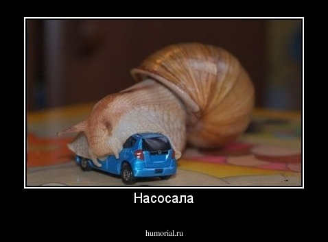Насосала