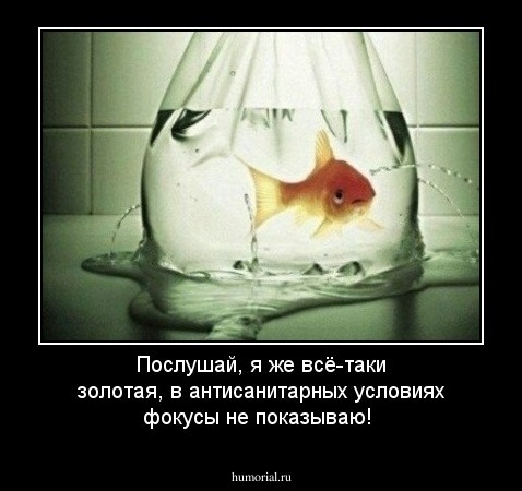 Послушай, я же всё-таки золотая, в антисанитарных условиях фокусы  не показываю!