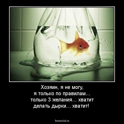 Хозяин, я не могу, я только по правилам... только 3 желания... хватит делать дырки... хватит!