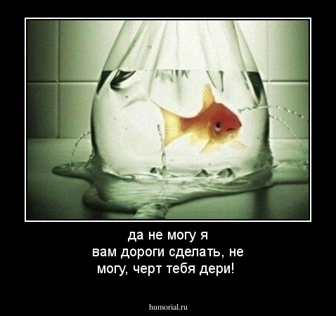 да не могу я вам дороги сделать, не могу, черт тебя дери! 