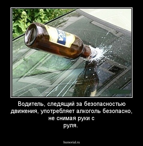 Водитель, следящий за безопасностью движения, употребляет алкоголь безопасно, не снимая руки с руля.