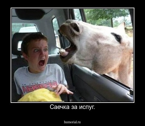 Саечка за испуг.