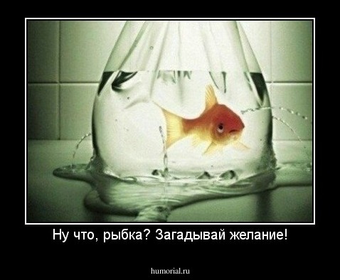 Ну что, рыбка? Загадывай желание!