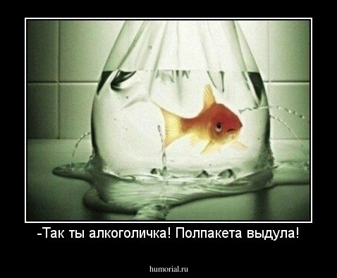 -Так ты алкоголичка! Полпакета выдула!