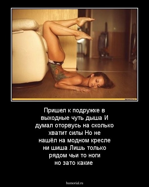 Пришел к  подружке в выходные чуть дыша
И думал оторвусь на сколько хватит силы
Но не нашёл на модном кресле ни шиша
Лишь только рядом чьи то ноги но зато какие
