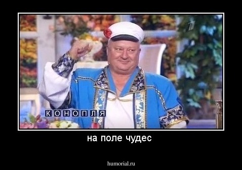 на поле чудес 