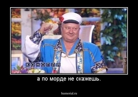а по морде не скажешь.