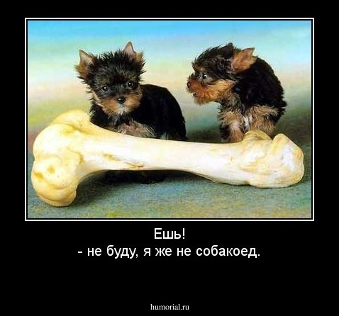 Ешь!
- не буду, я же не собакоед.
