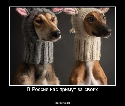 В России нас примут за своих