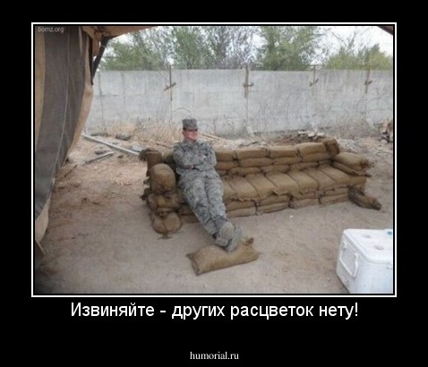 Извиняйте - других расцветок нету!