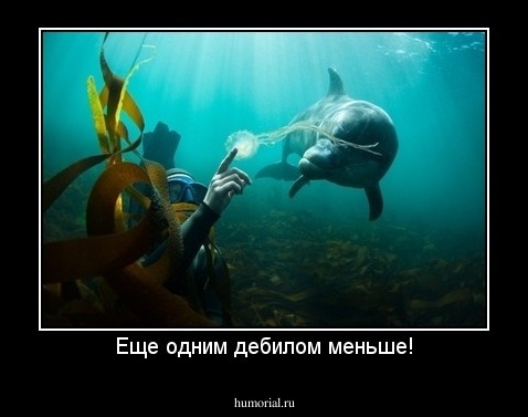 Еще одним дебилом меньше!