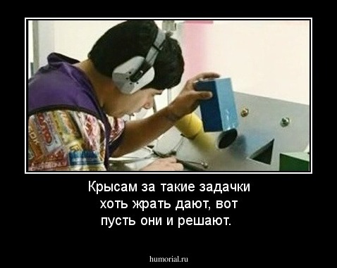 Крысам за такие задачки хоть жрать дают, вот пусть они и решают.