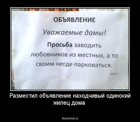 Разместил объявление находчивый одинокий жилец дома