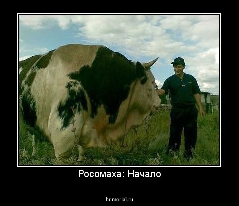 Росомаха: Начало