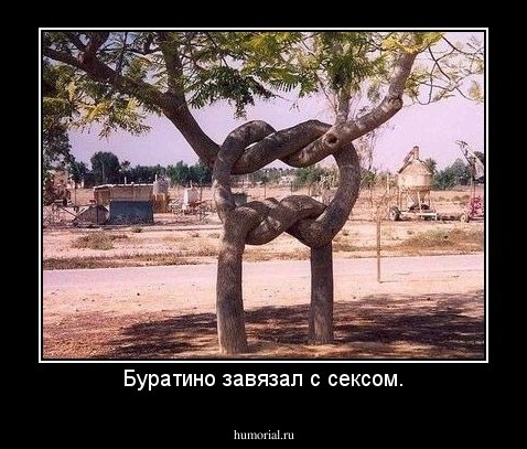 Буратино завязал с сексом.