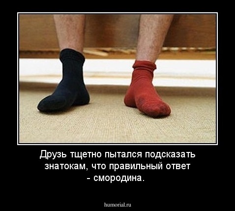 Друзь тщетно пытался подсказать знатокам, что правильный ответ - смородина.
