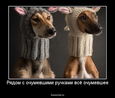 Рядом с очумевшими ручками всё очумевшее