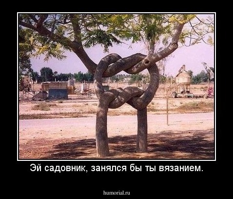 Эй садовник, занялся бы ты вязанием.