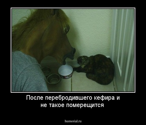 После перебродившего кефира и не такое померещится