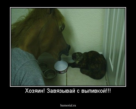 Хозяин! Завязывай с выпивкой!!!