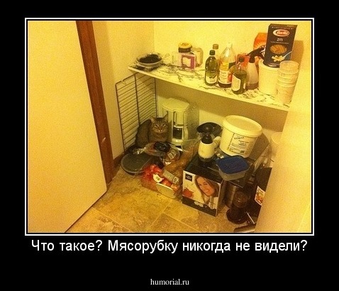 Что такое? Мясорубку никогда не видели?