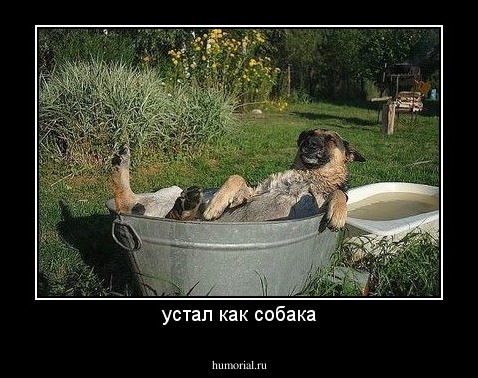 устал как собака