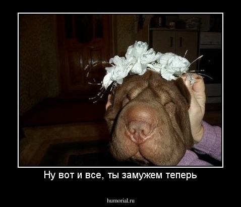 Ну вот и все, ты замужем теперь