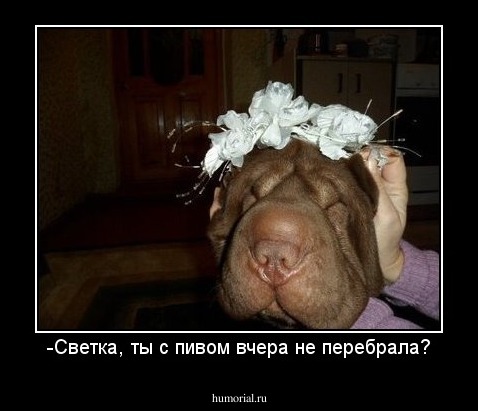 -Светка, ты с пивом вчера не перебрала?