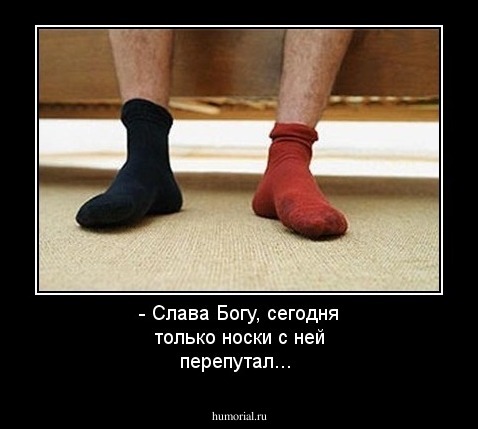 - Слава Богу, сегодня только носки с ней перепутал...