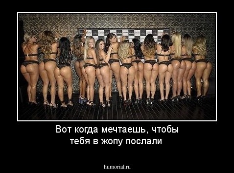 Вот когда мечтаешь, чтобы тебя в жопу послали