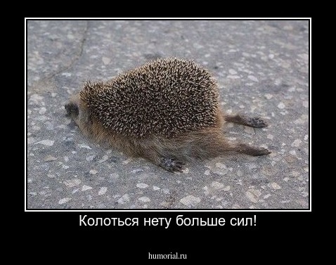 Колоться нету больше сил!