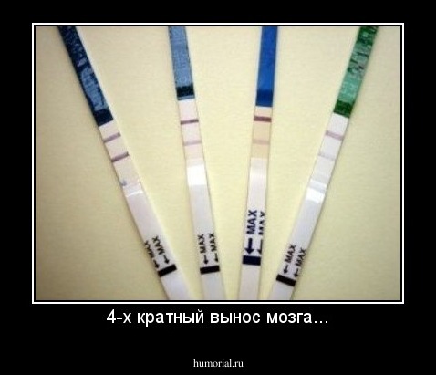 4-х кратный вынос мозга...