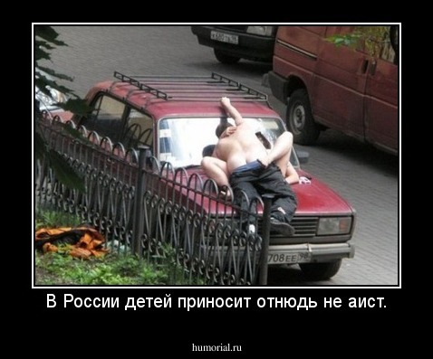 В России детей приносит отнюдь не аист.